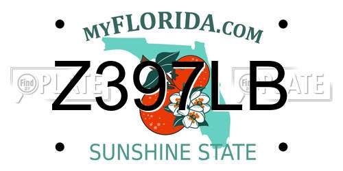 Z397LB Florida License Plate