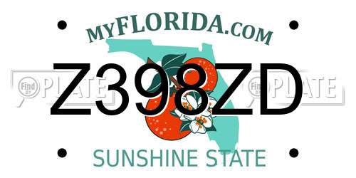 Z398ZD Florida License Plate