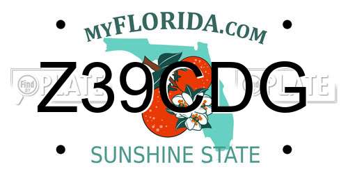 Z39CDG Florida License Plate