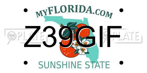 Z39GIF Florida License Plate