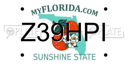 Z39HPI Florida License Plate