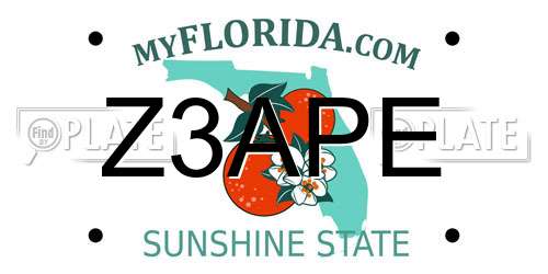 Z3APE Florida License Plate