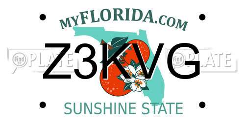 Z3KVG Florida License Plate