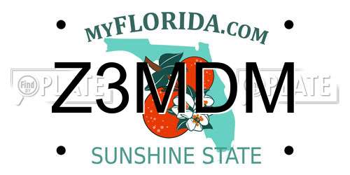 Z3MDM Florida License Plate