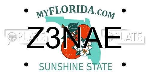 Z3NAE Florida License Plate