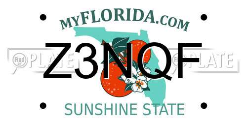 Z3NQF Florida License Plate