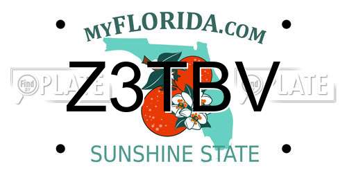 Z3TBV Florida License Plate