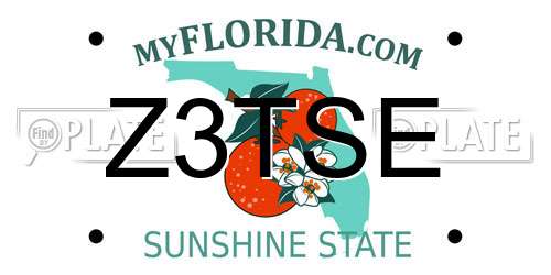 Z3TSE Florida License Plate