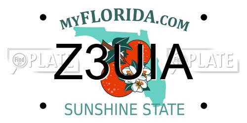 Z3UIA Florida License Plate