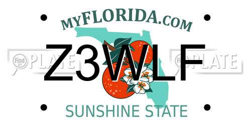 Z3WLF Florida License Plate