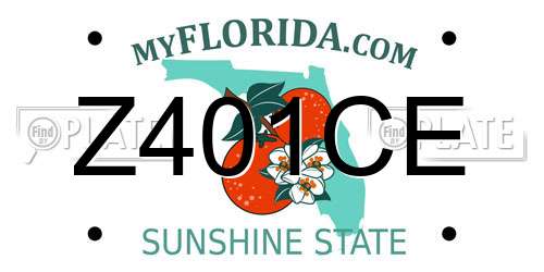 Z401CE Florida License Plate
