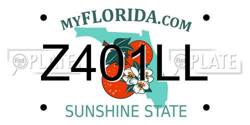 Z401LL Florida License Plate