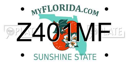 Z401MF Florida License Plate