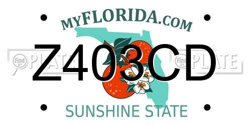 Z403CD Florida License Plate