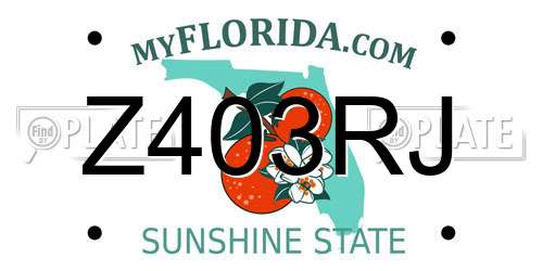 Z403RJ Florida License Plate