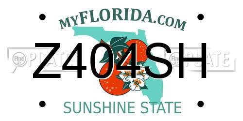 Z404SH Florida License Plate