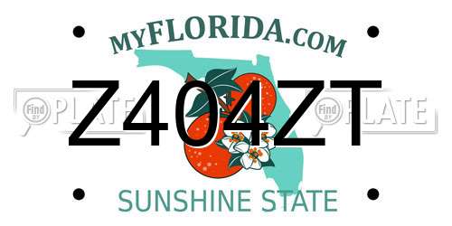 Z404ZT Florida License Plate