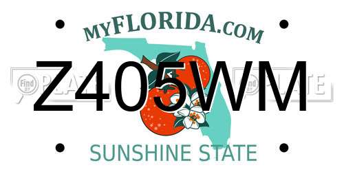 Z405WM Florida License Plate