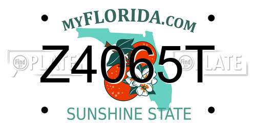Z4065T Florida License Plate