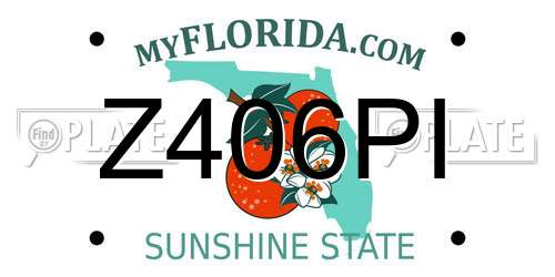 Z406PI Florida License Plate