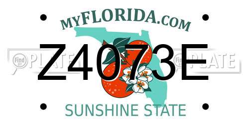 Z4073E Florida License Plate