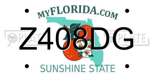 Z408DG Florida License Plate