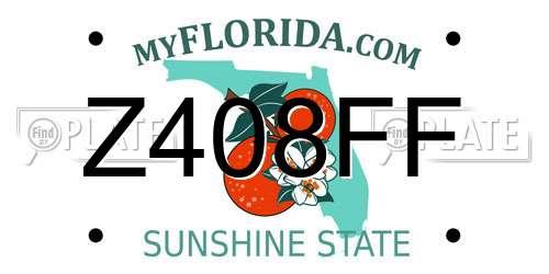 Z408FF Florida License Plate