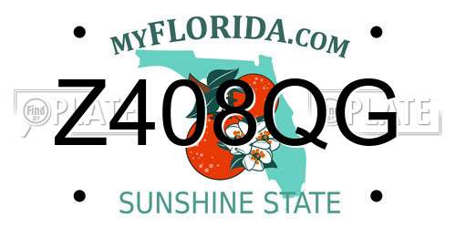 Z408QG Florida License Plate