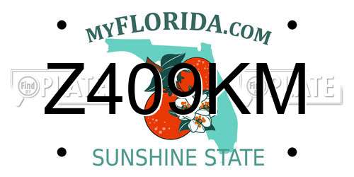 Z409KM Florida License Plate