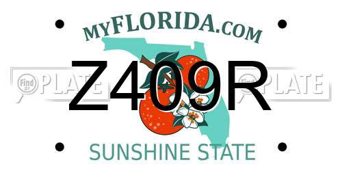 Z409R Florida License Plate