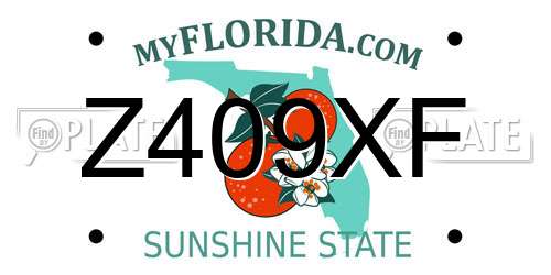 Z409XF Florida License Plate