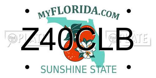 Z40CLB Florida License Plate
