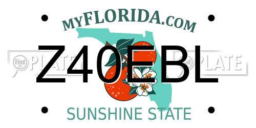 Z40EBL Florida License Plate