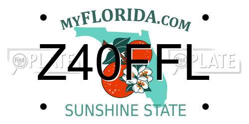 Z40FFL Florida License Plate