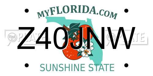 Z40JNW Florida License Plate