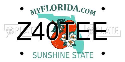 Z40TEE Florida License Plate