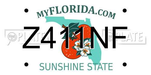 Z411NF Florida License Plate