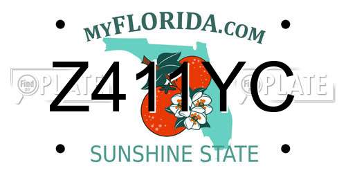 Z411YC Florida License Plate
