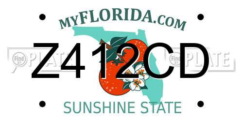Z412CD Florida License Plate