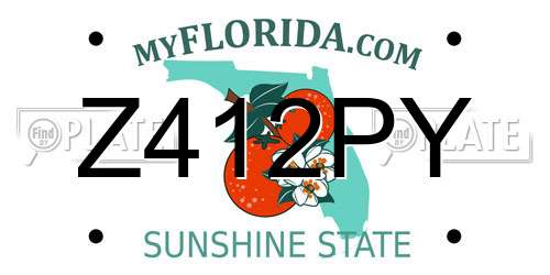 Z412PY Florida License Plate