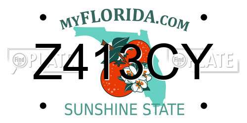Z413CY Florida License Plate