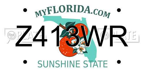Z413WR Florida License Plate