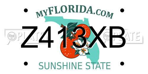 Z413XB Florida License Plate
