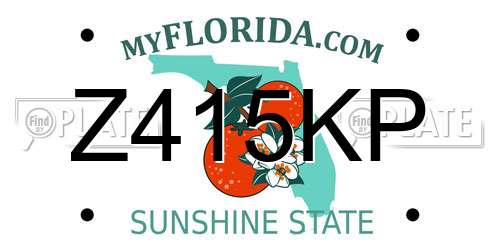 Z415KP Florida License Plate