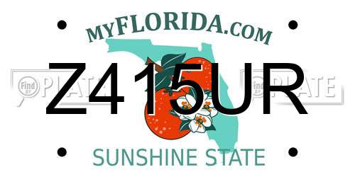 Z415UR Florida License Plate