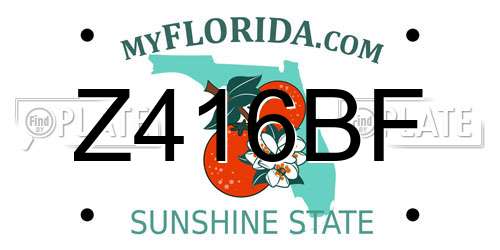 Z416BF Florida License Plate