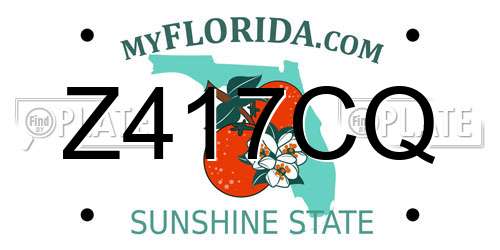 Z417CQ Florida License Plate