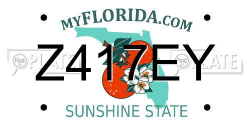 Z417EY Florida License Plate