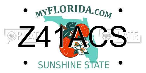 Z41ACS Florida License Plate