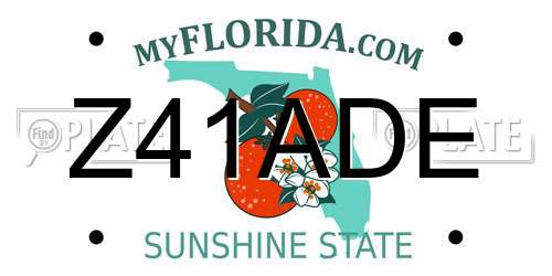 Z41ADE Florida License Plate